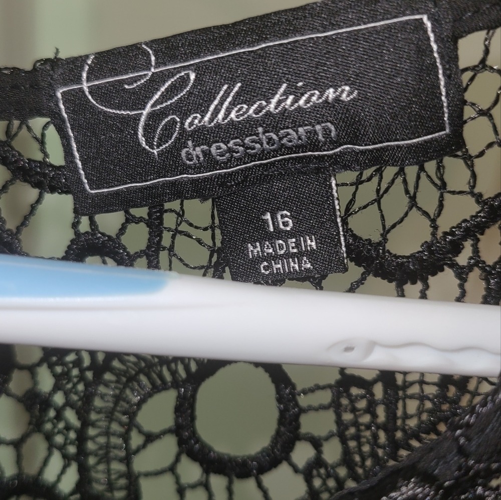 C1 Dressbarn Lace Dress - Picture 5 of 8
